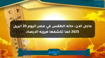 عاجل الآن: حالة الطقس في مصر اليوم 20 أبريل 2025 كما تكشفها هيئة الأرصاد